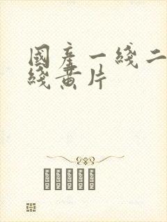 国产一线二线三线黄片