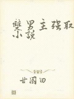 双男主强取豪夺小说