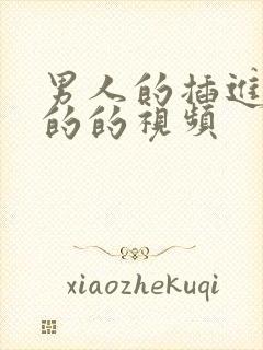 男人的插进女人的的视频