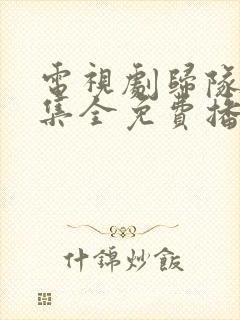 电视剧归队40集全免费播放