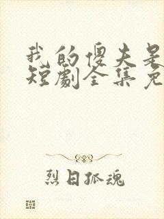 我的傻夫是太子短剧全集免费观看高清