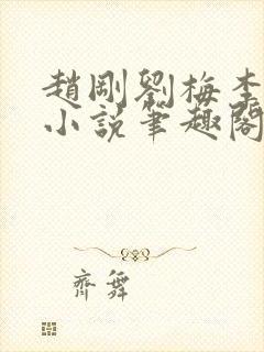 赵刚刘梅李晓雅小说笔趣阁