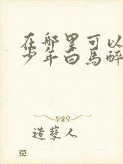 在哪里可以看到少年白马醉春风真人版电视剧