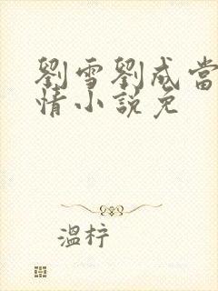 刘雪刘成当代爱情小说免