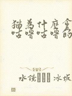 猫为什么会发出咕噜咕噜的声音