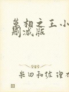 万相之王小说无删减版