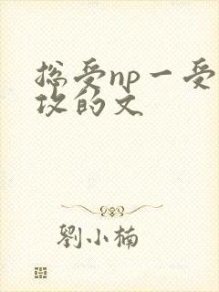 总受np一受多攻的文
