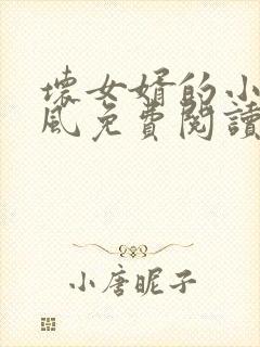 坏女婿的小说南风免费阅读下载全文最新