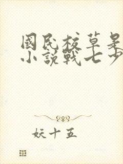 国民校草是女生小说战七少封面