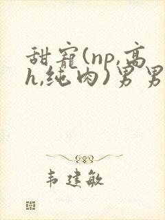 甜宠(np,高h,纯肉)男男