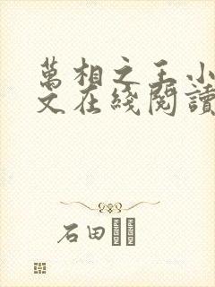 万相之王小说全文在线阅读封面