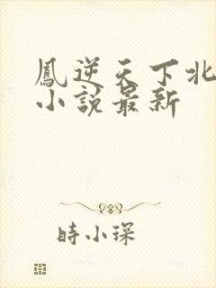 凤逆天下北月篇小说最新