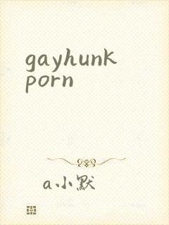 gayhunkporn