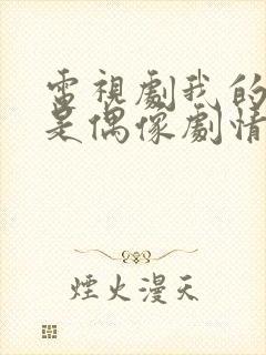 电视剧我的继父是偶像剧情介绍封面