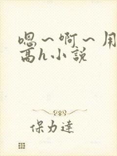 嗯～啊～用力～高h小说