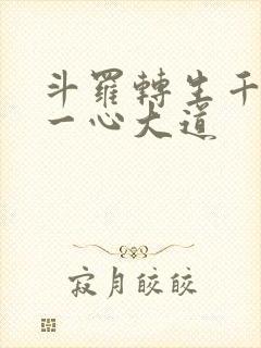 斗罗转生千仞雪一心大道封面