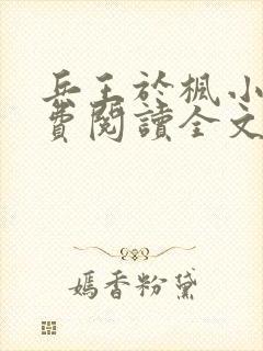 兵王于枫小说免费阅读全文