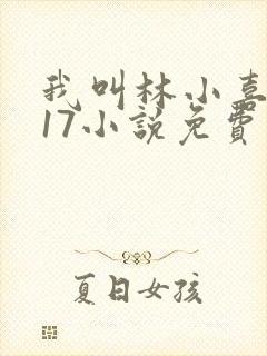 我叫林小喜今年17小说免费看