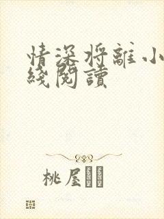 情深将离小说在线阅读