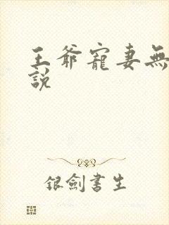 王爷宠妻无度小说