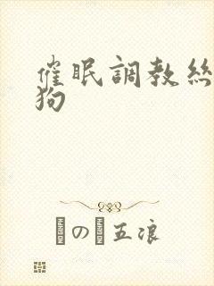 催眠调教丝袜母狗