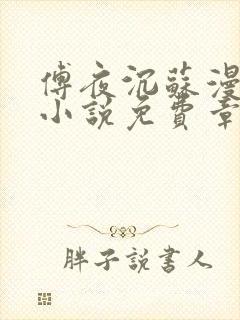 傅夜沉苏漫雪的小说免费章节阅读