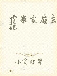 霍米家庭主妇日记