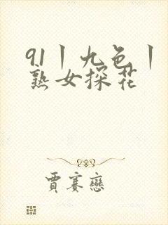 91丨九色丨老熟女探花