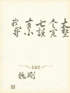 我有七个大佬哥哥小说完整版
