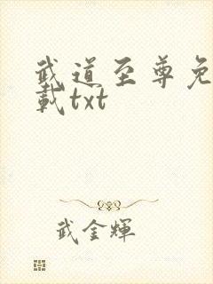 武道至尊免费下载txt