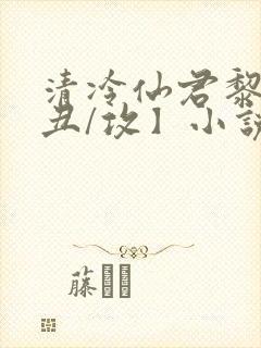 清冷仙君黎锦【丑/攻】小说