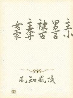 女主被男主强取豪夺古言小说封面