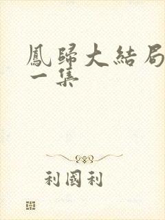 凤归大结局最后一集