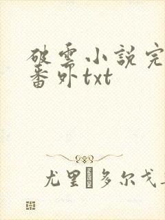 破云小说完整版番外txt