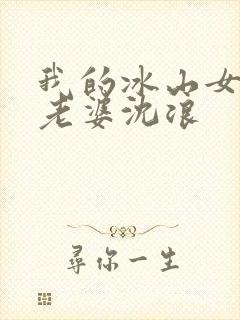 我的冰山女总裁老婆沈浪