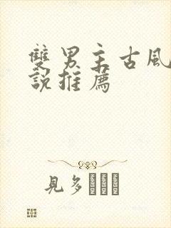 双男主古风文小说推荐封面