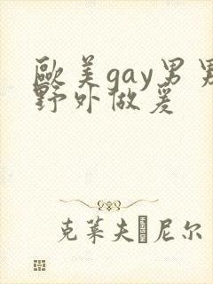 欧美gay男男野外做爰