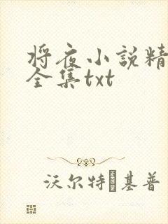将夜小说精校版全集txt