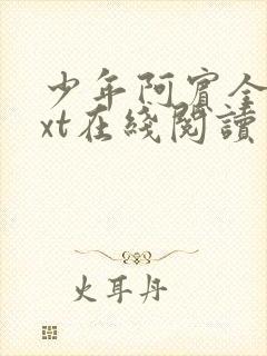 少年阿宾全集txt在线阅读