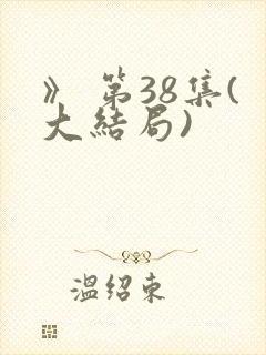 》 第38集(大结局)