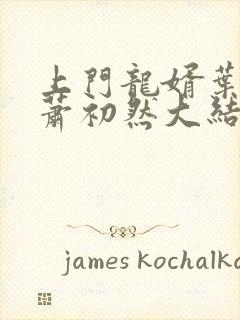 上门龙婿叶辰,萧初然大结局叶辰,萧初然章节