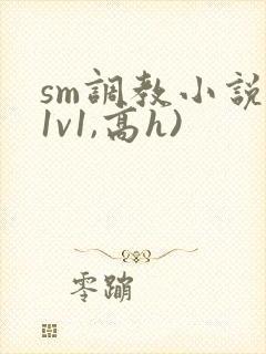 sm调教小说(1v1,高h)
