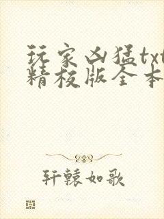 玩家凶猛txt精校版全本下载