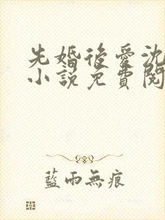 先婚后爱沈书记小说免费阅读全文