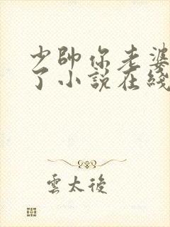 少帅你老婆又跑了小说在线阅读