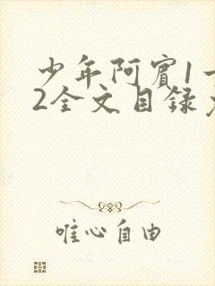 少年阿宾1一72全文目录免费下载封面