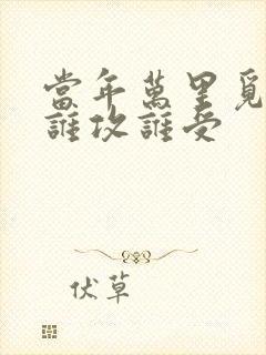 当年万里觅封侯谁攻谁受