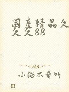 国产精品久久久久久88封面