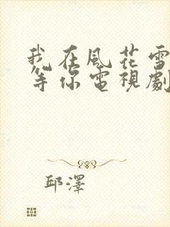 我在风花雪月里等你电视剧