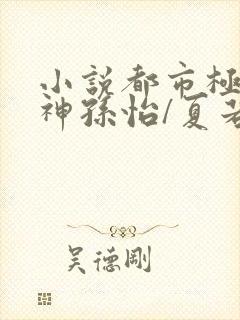 小说都市极品医神孙怡/夏若雪下载